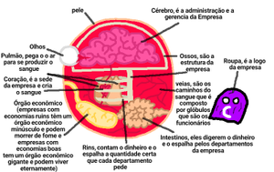 Anatomia.png