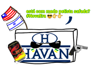 Havan 17 20200617030048.png