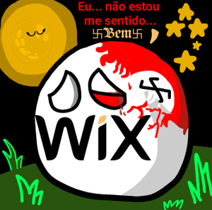 Wix.png