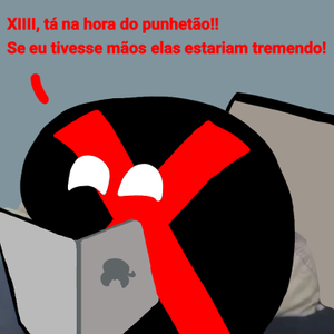 X vidros.png