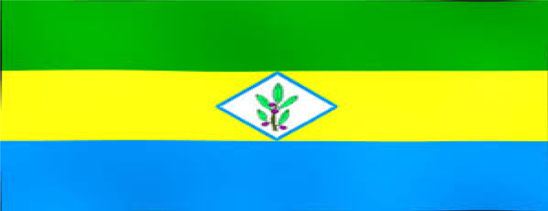 Archivo:Kingstown Bandera.png