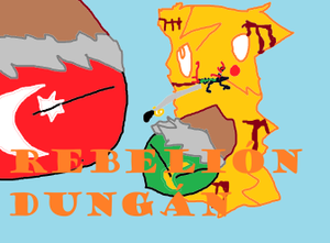 Rebelión Dungan bro...png