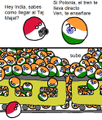 Polonia - India.png