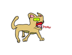 Puma Miau.png
