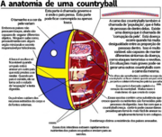 Anatomia de uma countryball.png