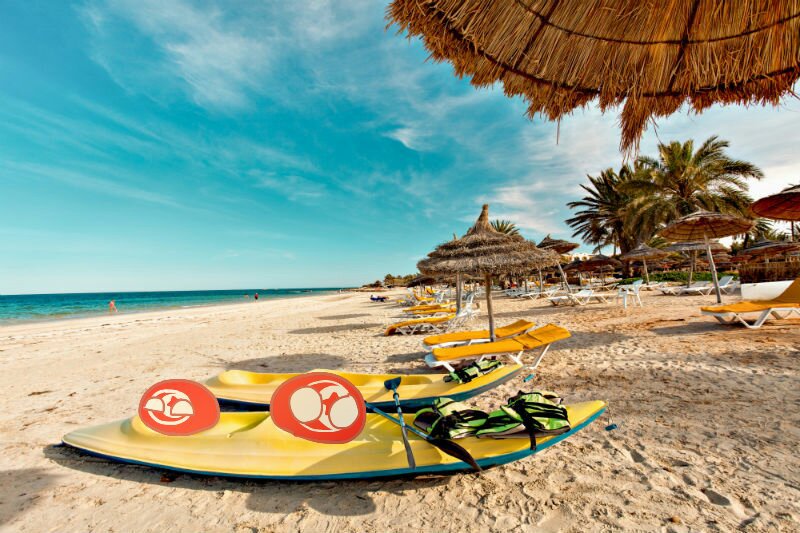 Arquivo:3ce1541d4c55ecf268ad1a0da24171985c5c9dafr1-800-533v2 hq.jpg