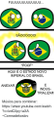 Saoooooo-poof-aquieo-estado-novo-imperial-do-brasil-anexar-i.png